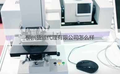 柳州貨運代理市場分析 優(yōu)質企業(yè)盤點與商務代辦服務指南